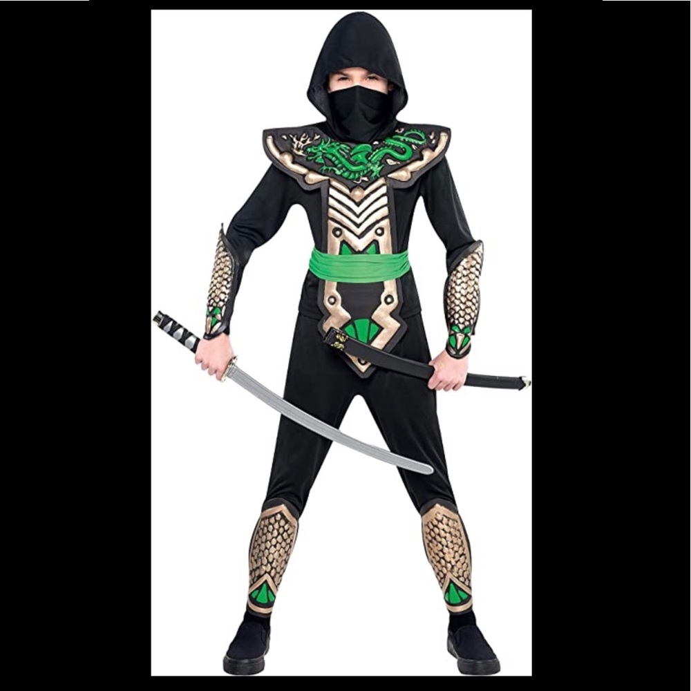 Dragon Slayer Ninja Halloween Costume